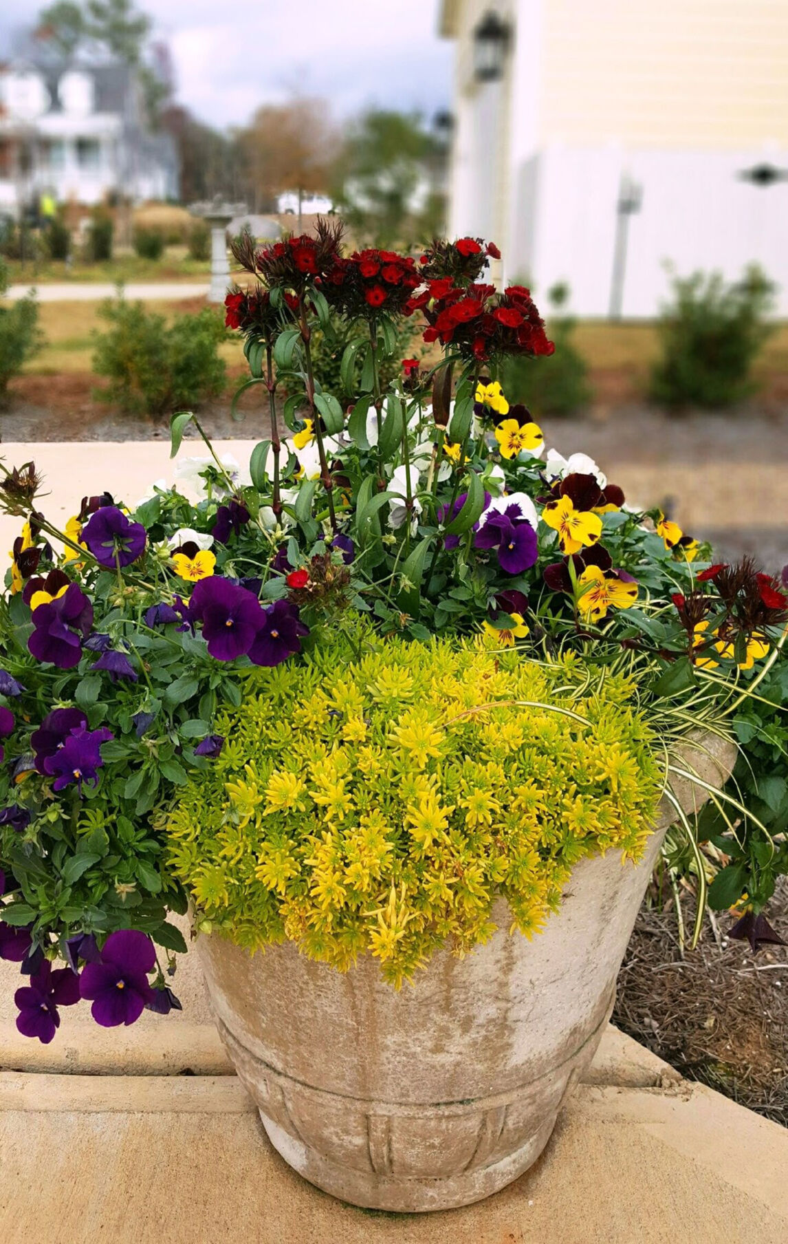 LIFE-HOME-ONGARDENING-3-MCT